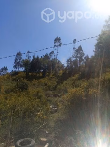 Terreno 7 mil metros cuadrado