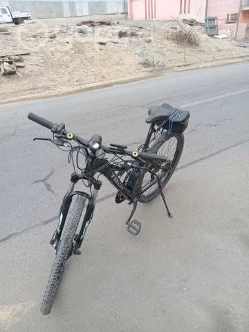 Bicicletas eléctrica 250 vatio de 36 Voltaje - Imagen 4