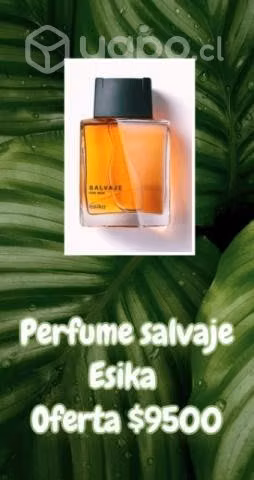 Productos Belcorp