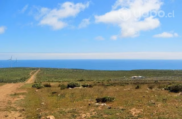 Parcela de agrado