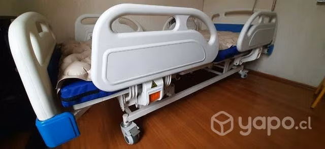 Cama clinica first care