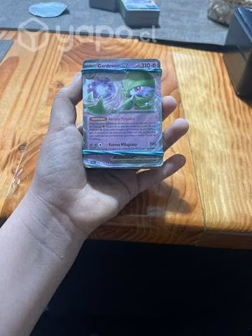 Colección cartas Pokémon
