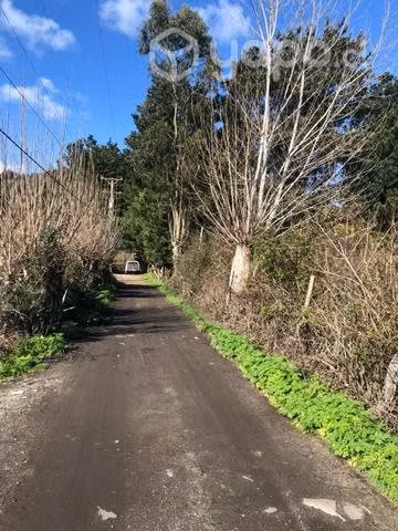 Sitio Coronel