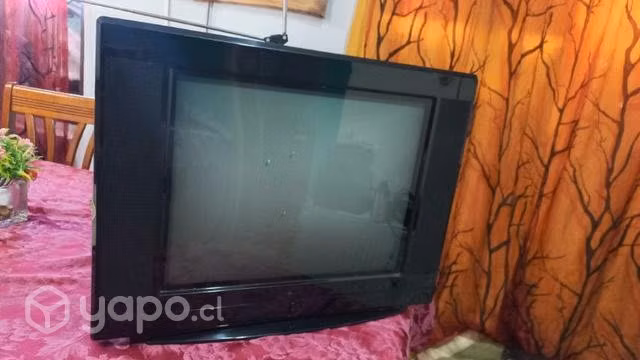 TV