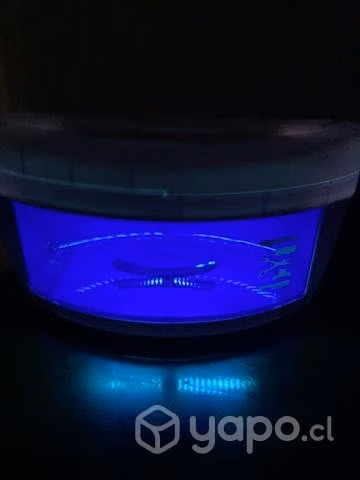 Esterilizadora - Imagen 2