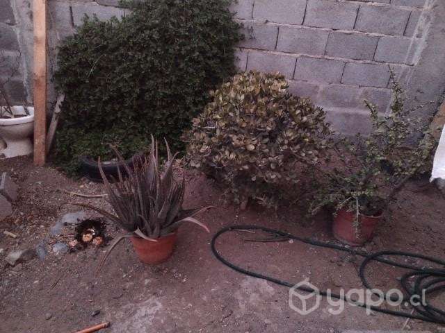 Casa - Imagen 5