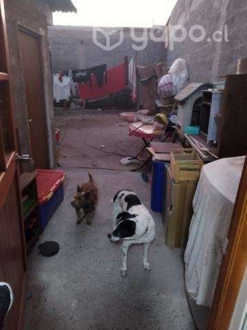 Casa - Imagen 6