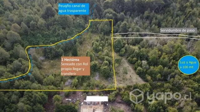 Parcela de una hectárea (10.000 m2) - Imagen 3