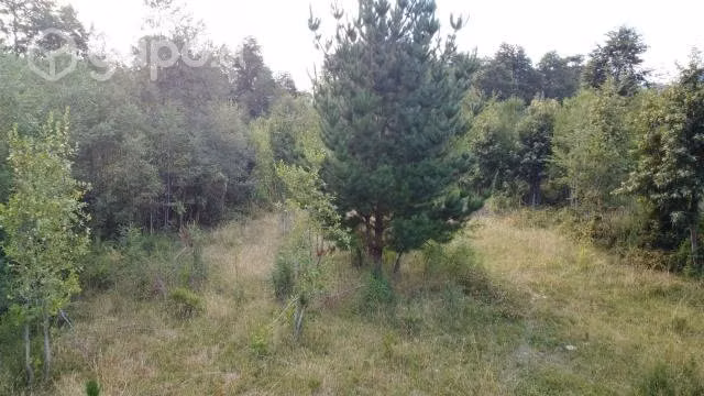 Parcela de una hectárea (10.000 m2) - Imagen 17