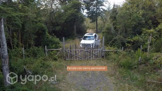 Parcela de una hectárea (10.000 m2) - Imagen 10