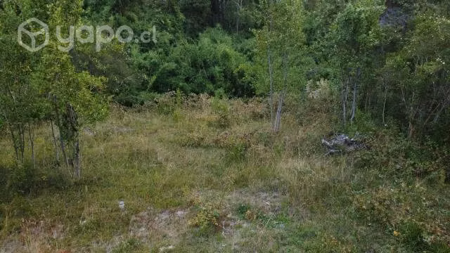 Parcela de una hectárea (10.000 m2) - Imagen 11
