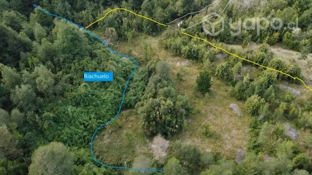 Parcela de una hectárea (10.000 m2) - Imagen 8