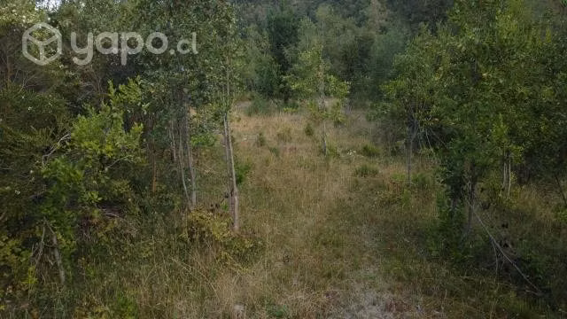 Parcela de una hectárea (10.000 m2) - Imagen 12