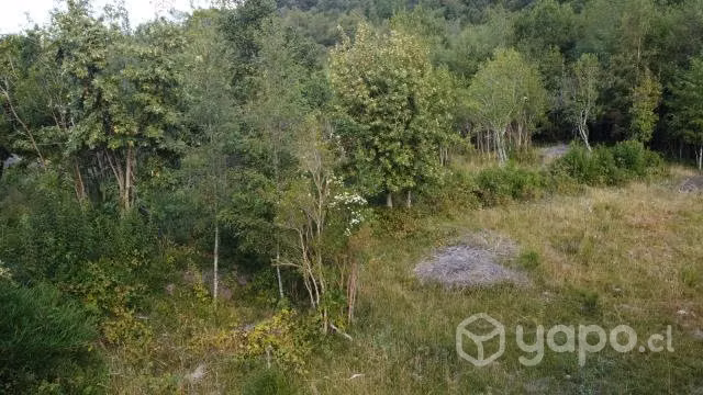 Parcela de una hectárea (10.000 m2) - Imagen 15