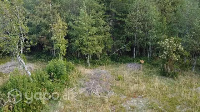 Parcela de una hectárea (10.000 m2) - Imagen 16