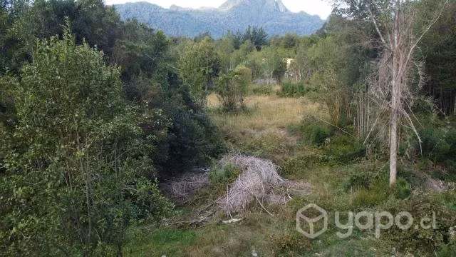 Parcela de una hectárea (10.000 m2) - Imagen 19