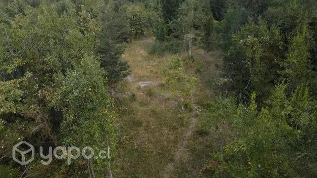 Parcela de una hectárea (10.000 m2) - Imagen 13