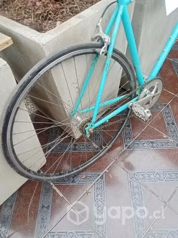 Bicicleta semi pisteras usada