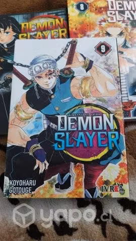 Demon slayer Tomo 9