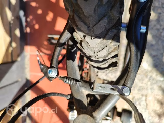 Bicicletas
