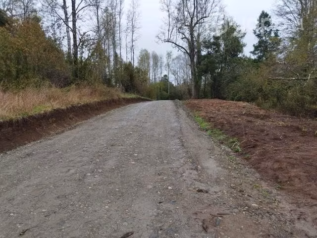parcela 1ha. Con casa 60mt2 - Imagen 6