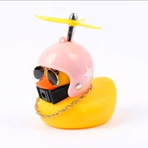 Patos de moda