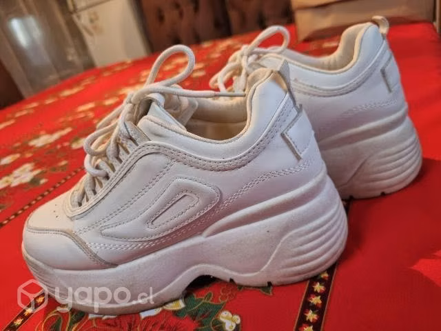 Zapatos y Botines - Imagen 4