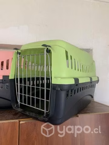 Jaula para gatitos - Imagen 2