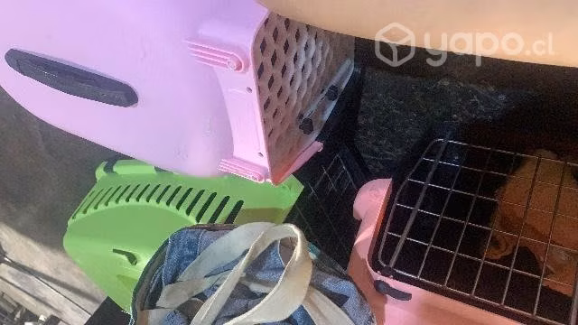 Jaula para gatitos - Imagen 3