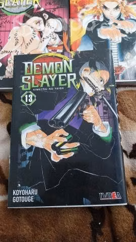 Demon slayer  Tomo 13