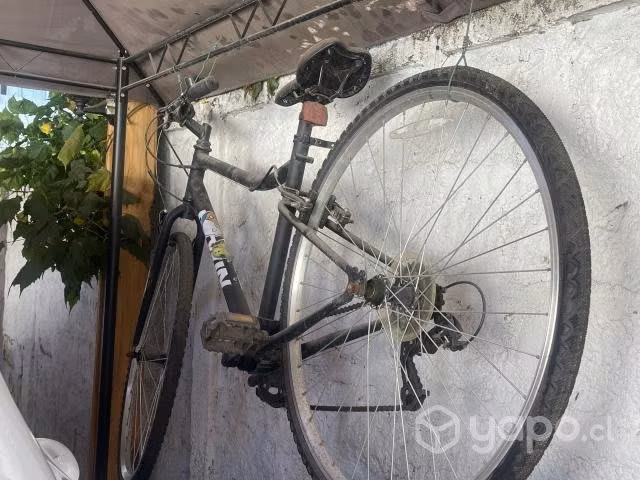 Bicicletas