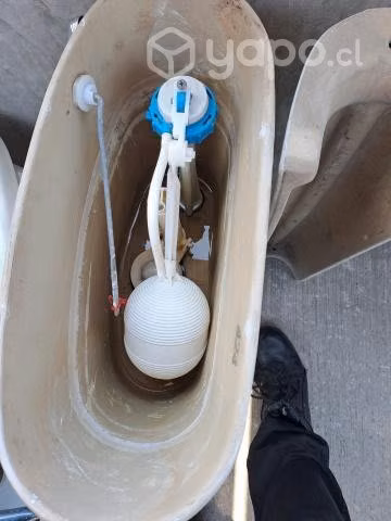 Sanitario