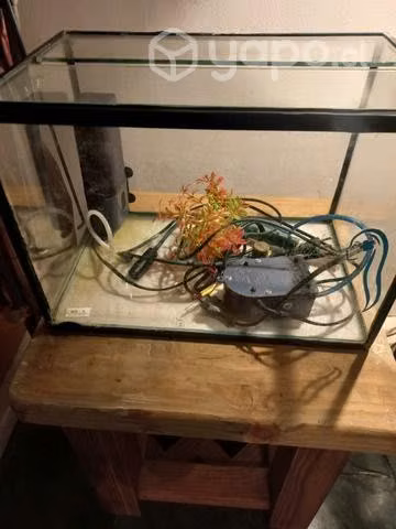 Actuario con accesorios - Imagen 3