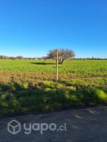 Terreno - Imagen 2