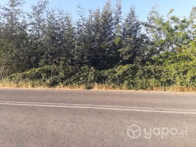 Terreno lado carretera