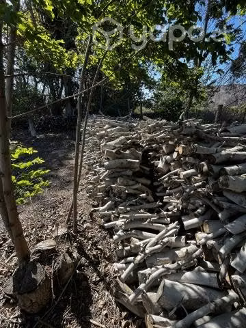 Leña de nogal seca