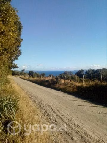 Parcela con cabaña - Imagen 4