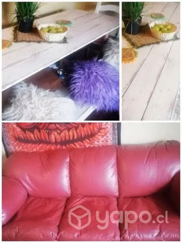 Comedor plegable 8 personas, sillon