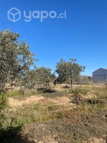 Parcela con casa