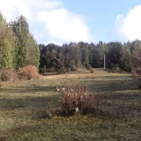 Parcela 5000 metros en quenchi (chiloe)