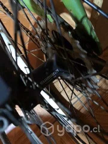 Bicicleta dirt