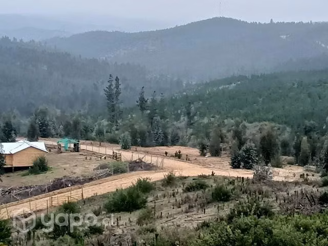 Terreno 5000mts sexta región