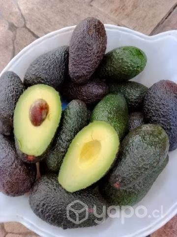 Palta hass