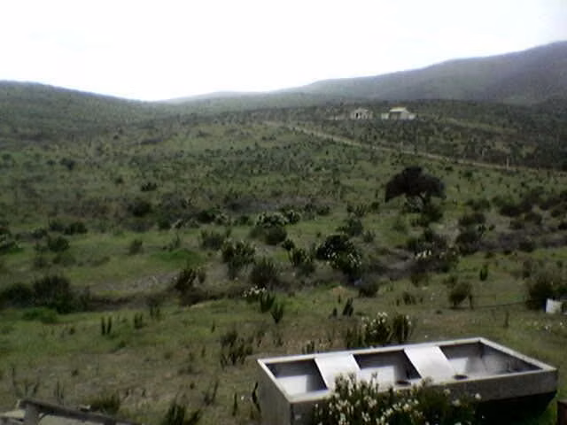 Terreno las alcaparras