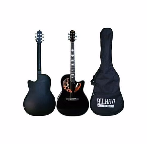 Guitarra electroacústica - Imagen 2