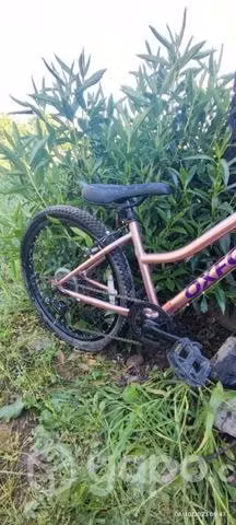 Bicicleta Oxford Luna Aro 24 - Imagen 5