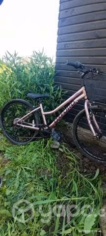 Bicicleta Oxford Luna Aro 24 - Imagen 3