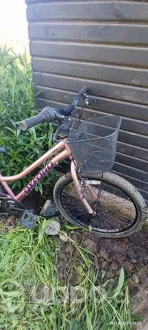 Bicicleta Oxford Luna Aro 24 - Imagen 4