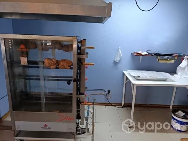 Pollo