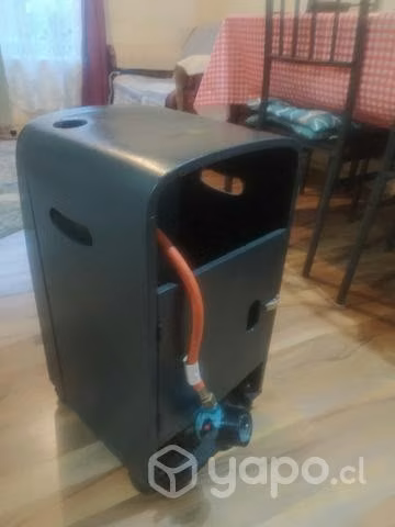 Calentador a gas